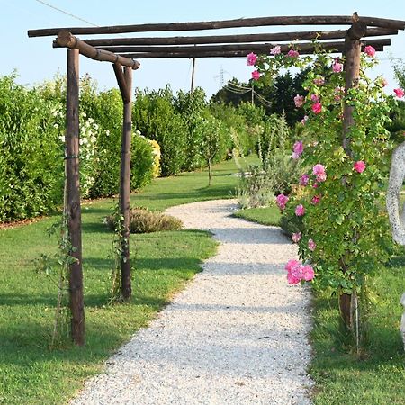 I Delfini - Natural B&B Cesenatico Ngoại thất bức ảnh
