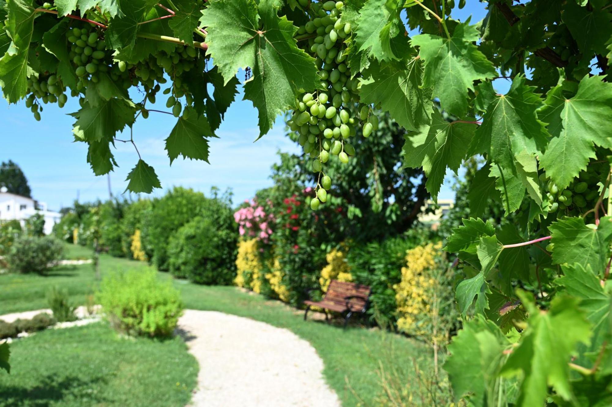 I Delfini - Natural B&B Cesenatico Ngoại thất bức ảnh